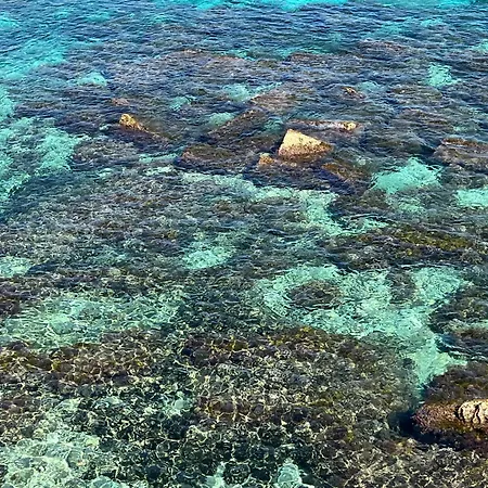 Дом отдыха Magica Ortigia *